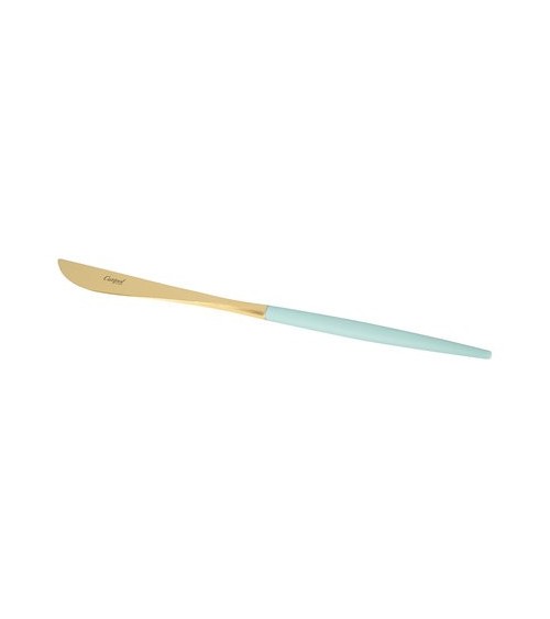 DINING KNIFE TURQUOISE & GOLD MATTE CUTLERY SET - CUTIPOL