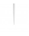 GOA White Cutipol Dinner Fork 