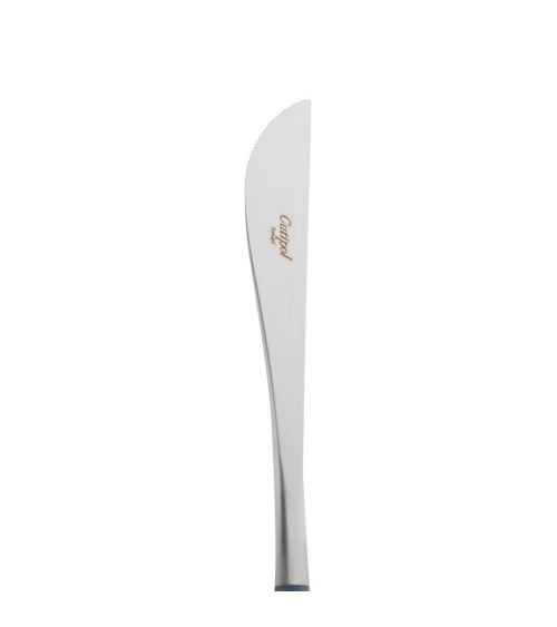 GOA Blue Cutipol Dinner Knife 