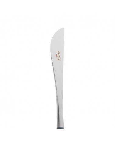 GOA Blue Cutipol Dinner Knife 