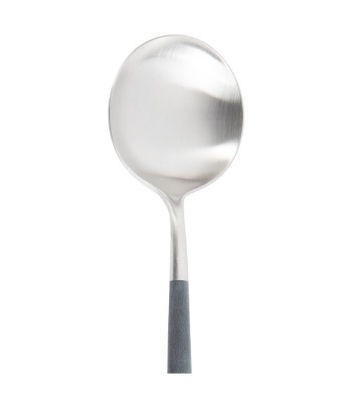 GOA Blue Cutipol Serving Spoon 